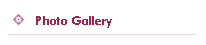 Photo Gallery